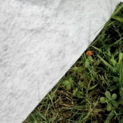 GRE Gré Avantgarde Composiet Zwembad - 326 X 186 X 96 Cm -Intex || KOKIDO || Bestway Verkoop 900 900 7020022078 2022 170